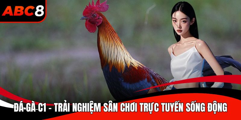 Đá gà C1