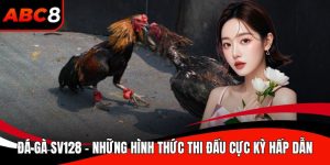 Đá gà SV128