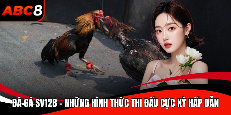 Đá gà SV128
