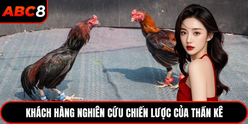 Khách hàng nghiên cứu chiến lược của thần kê