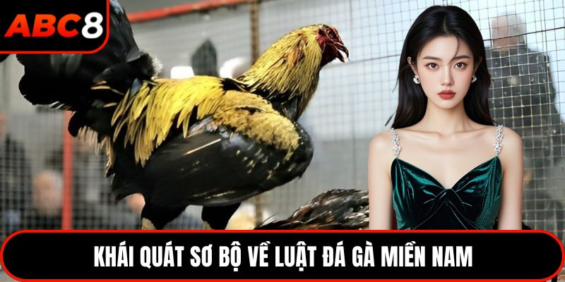 Khái quát sơ bộ về luật đá gà miền Nam