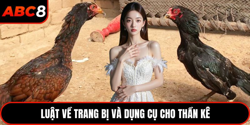 Luật về trang bị và dụng cụ cho thần kê
