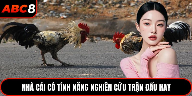 Nhà cái có tính năng nghiên cứu trận đấu hay