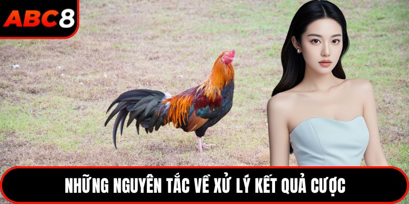 Những nguyên tắc về xử lý kết quả cược