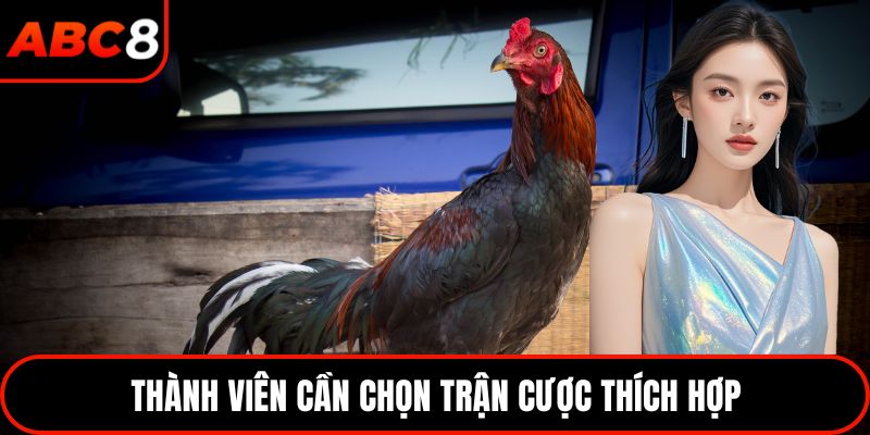 Thành viên cần chọn trận cược thích hợp