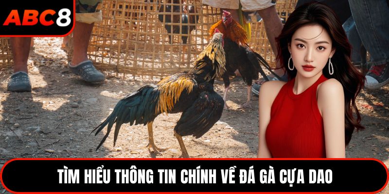 Tìm hiểu thông tin chính về đá gà cựa dao