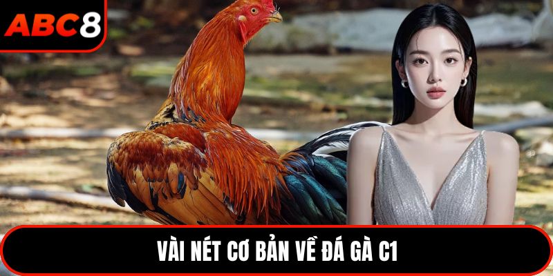Vài nét cơ bản về đá gà C1